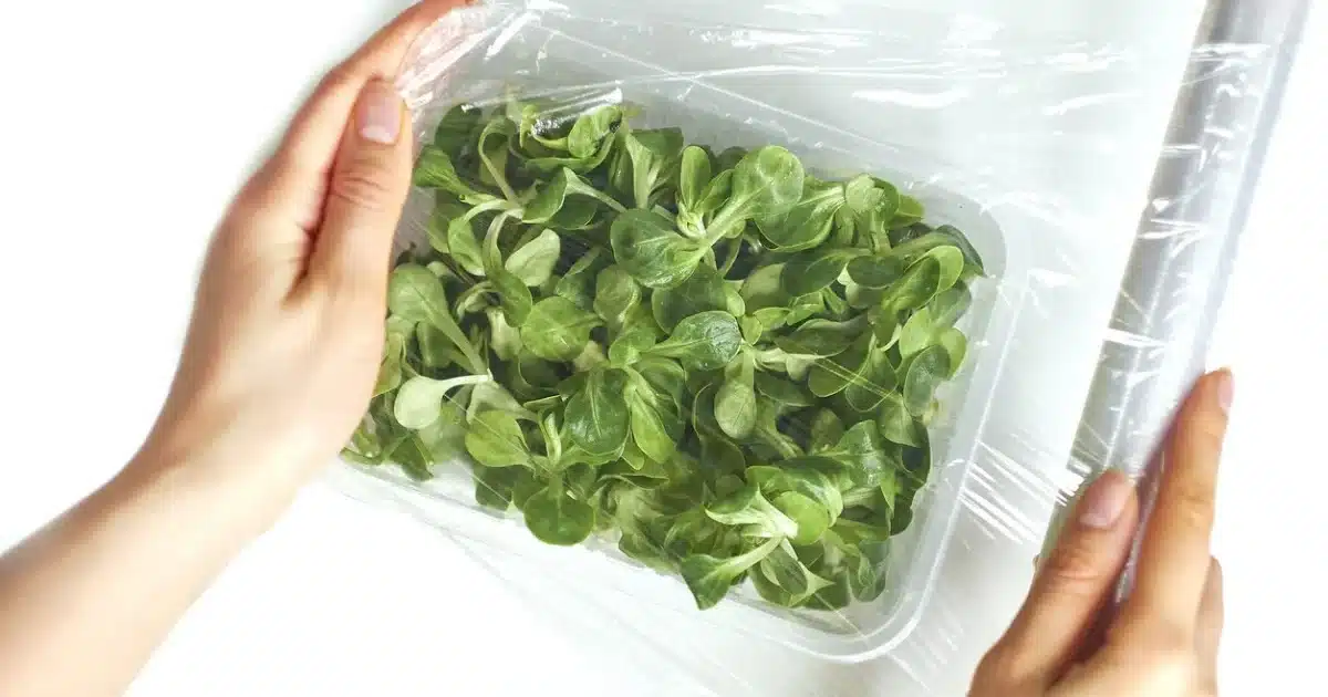 Don't Put Plastic Wrap on Your Food, Here's Why